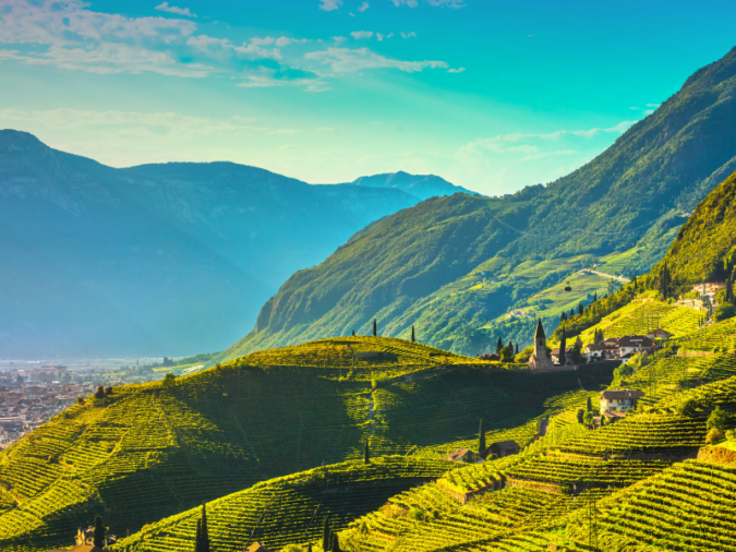 Vineyards view in Santa Maddalena Rencio Bolzano. Trentino Alto Adige Sud Tyrol, Italy, Europe