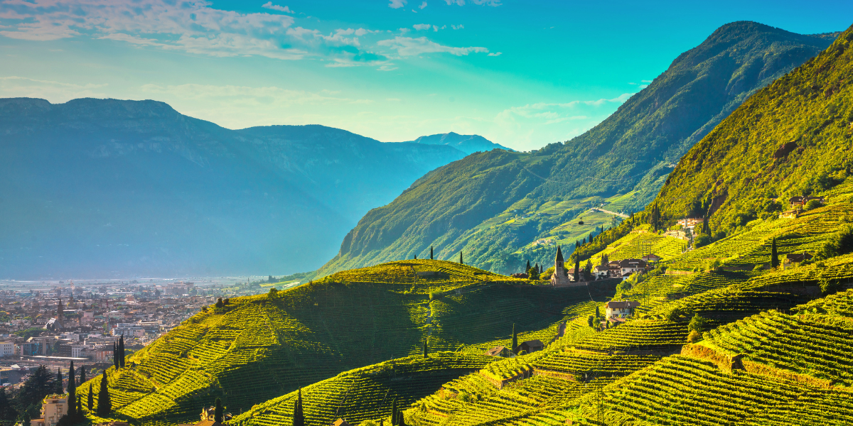 Vineyards view in Santa Maddalena Rencio Bolzano. Trentino Alto Adige Sud Tyrol, Italy, Europe