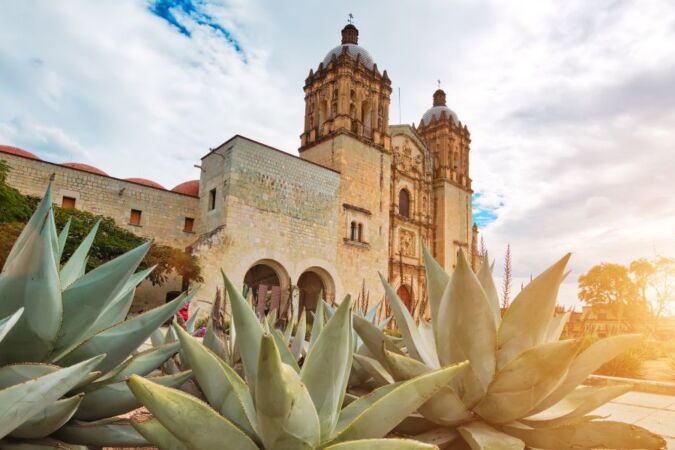 Oaxaca city's santo domingo temple with agave plant outside