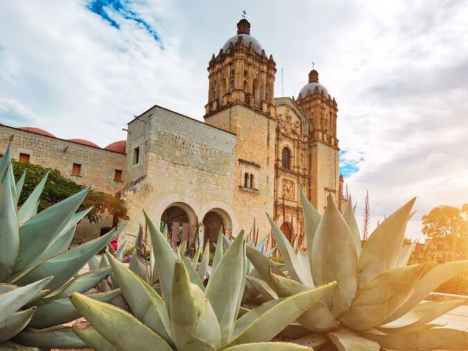 Oaxaca city's santo domingo temple with agave plant outside