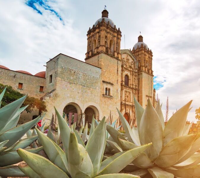 Oaxaca city's santo domingo temple with agave plant outside
