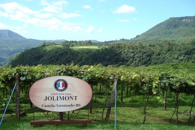 vineyard and welcome sign at Vitivinicola Jolimont in Serra Gaucha